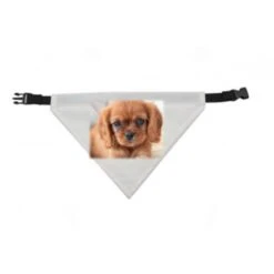 Bandana Personnalisé Pour Chiens -Phone case Sales bandana personnalise pour chiens 2